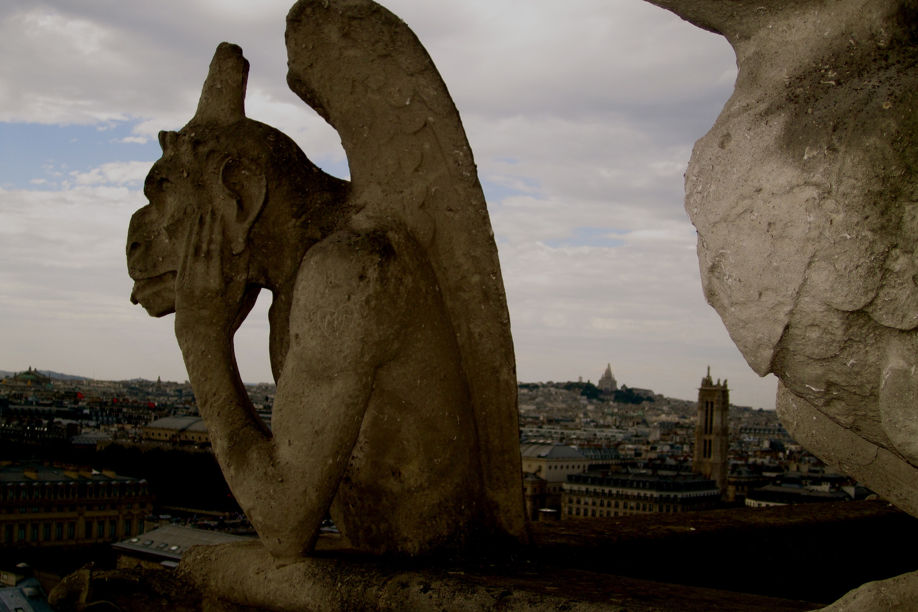 The Gargoyles of Notre Dame de Paris