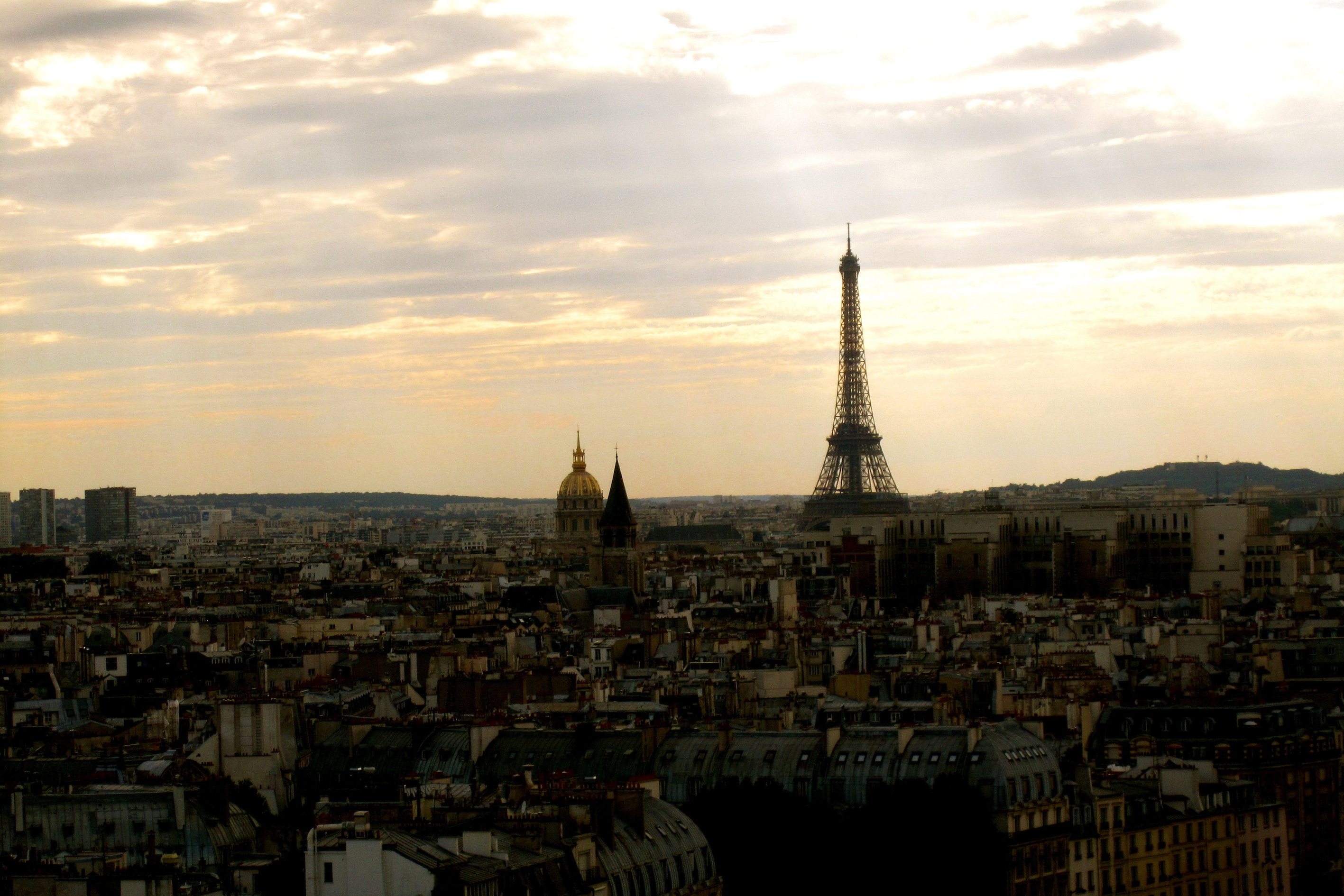 View from the Towers of Notre Dame de Paris