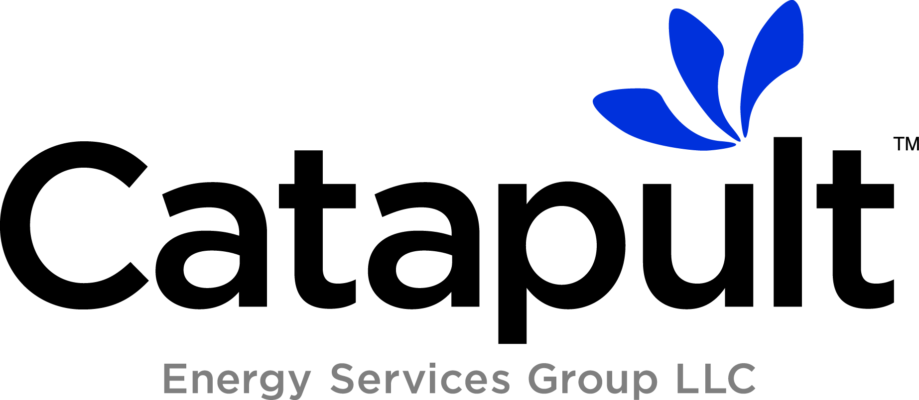 Catapult Energy Services Group Successfully Invests Start-Up Equity in ...