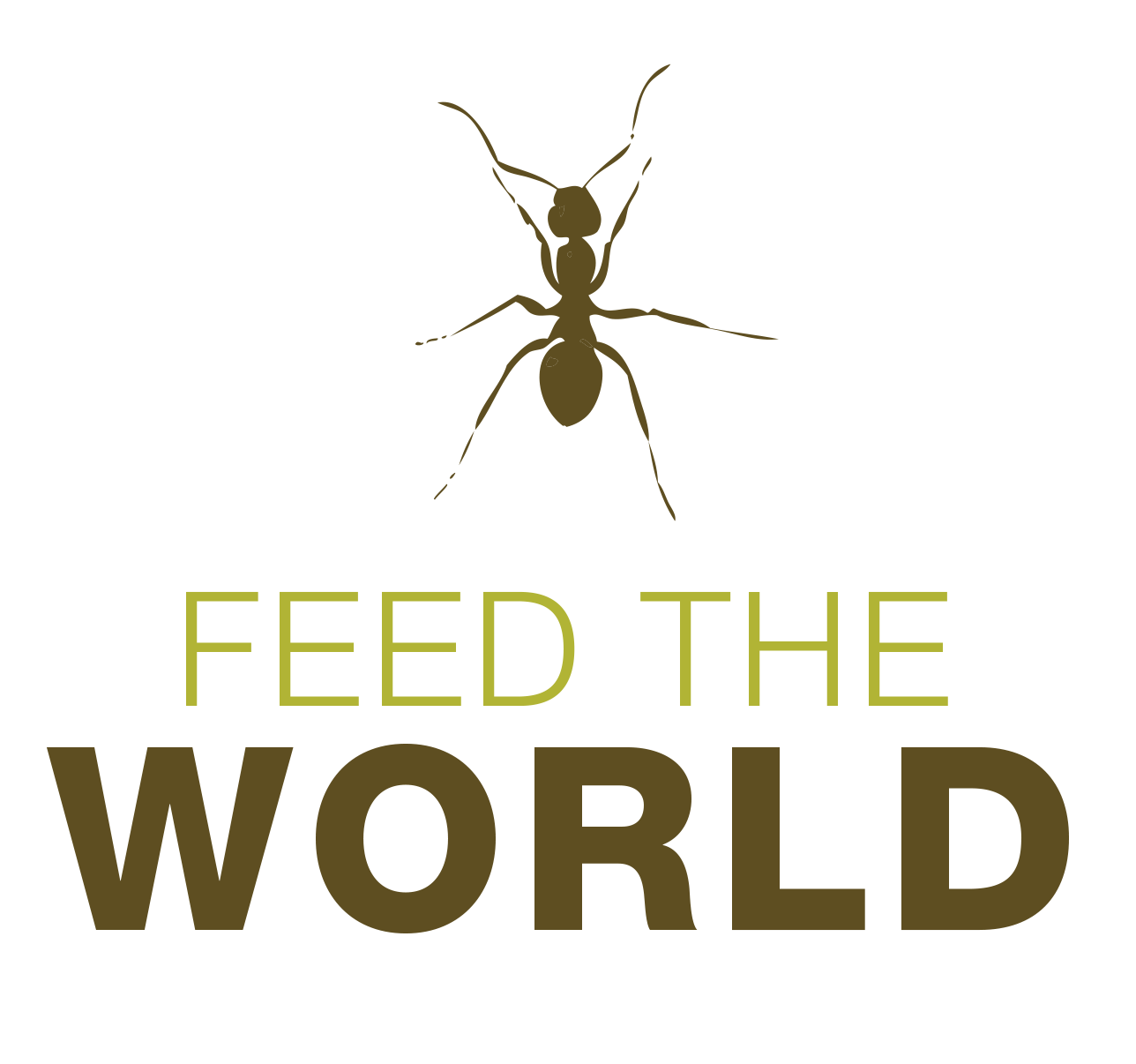 Insects to Feed The World