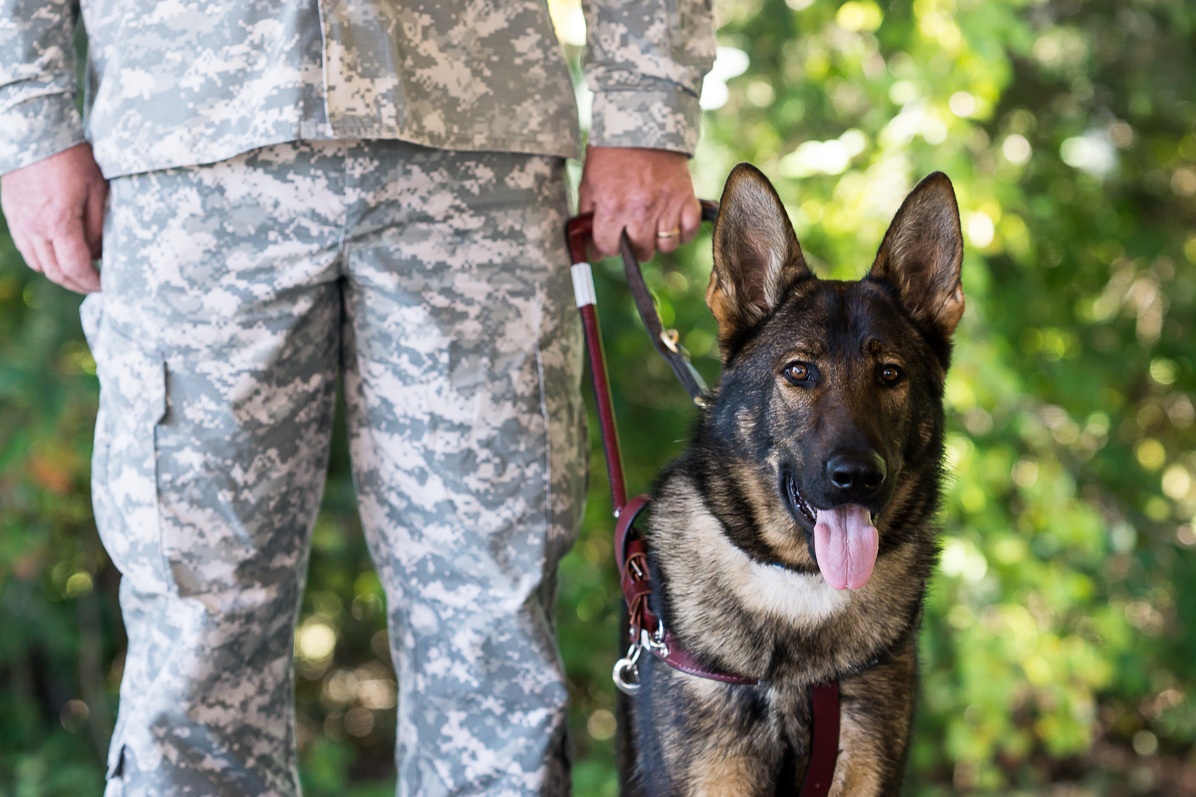 Fidelco Guide Dog Foundation Salutes Armed Forces Week 2014 with 