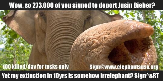 More than 240,000 Americans signed "We the People" petition to deport pop star. Elephants struggle for 10,000 signatures for U.S. to ban ivory trade.