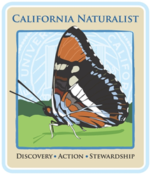 The California sister butterfly is the mascot of the California Naturalist program.