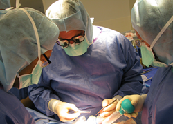 SSM St. Louis Fetal Care Institute Performs 34th Fetal Spina Bifida Repair Surgery in Three Years