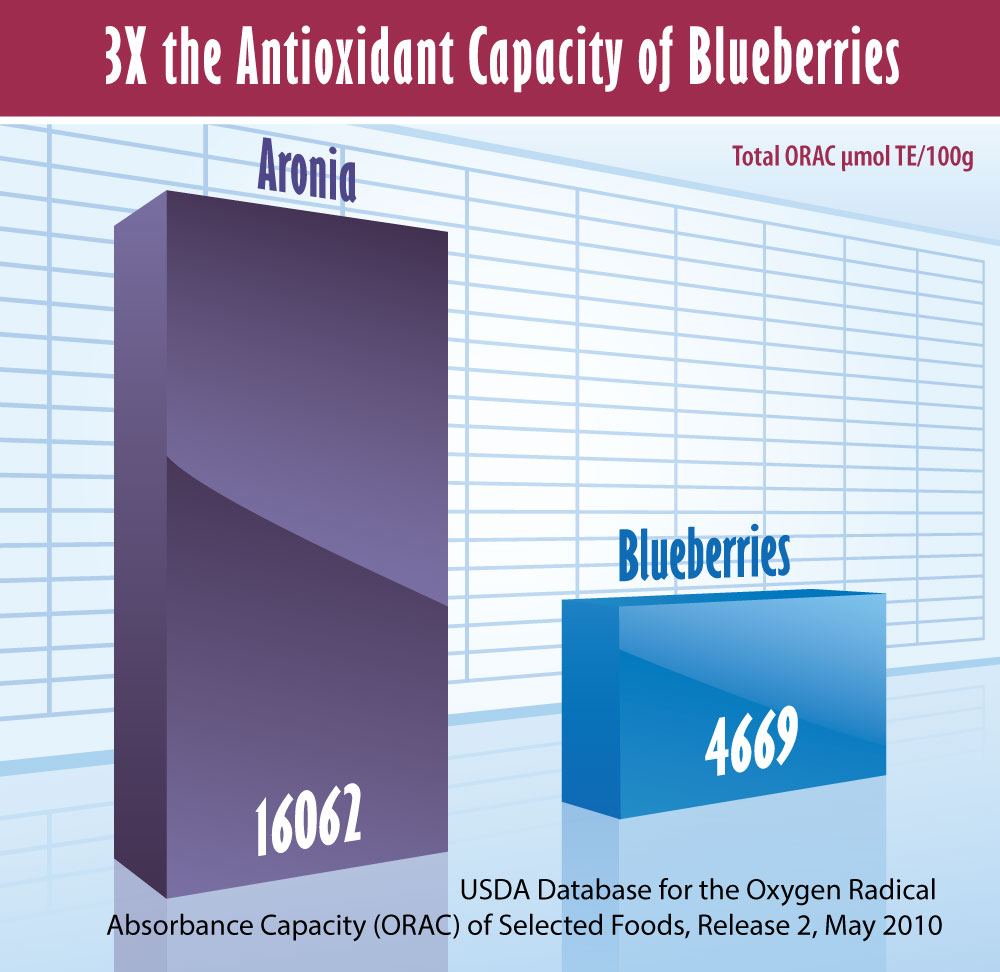 Aronia berries have three times the well-recognized antioxidant capacity level of blueberries.