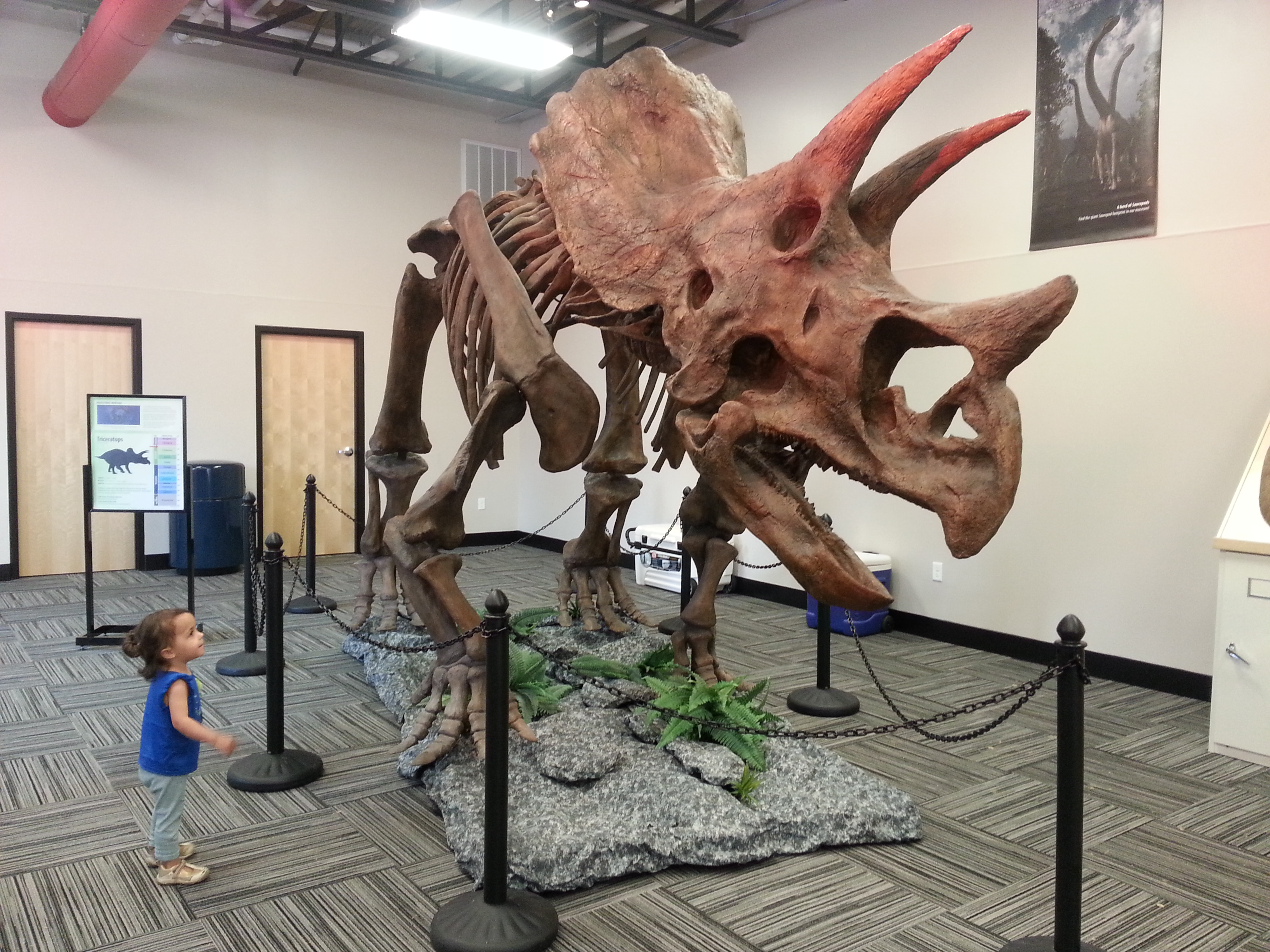 Meeting a Big Guy at the Shenandoah Valley Discovery Museum