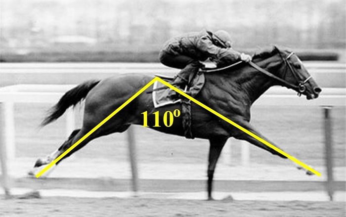 Secretariat 110 Degree Stride Angle