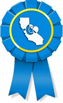 Best San Francisco Web Design Company Badge