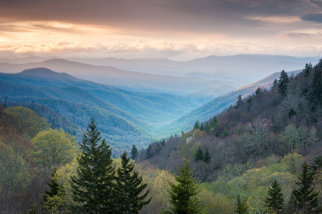 The entrance to the Great Smoky Mountains National Park is just one of the many thrilling stops along the Gatlinburg trolley routes.