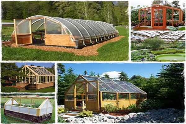Building A Greenhouse Plans Review