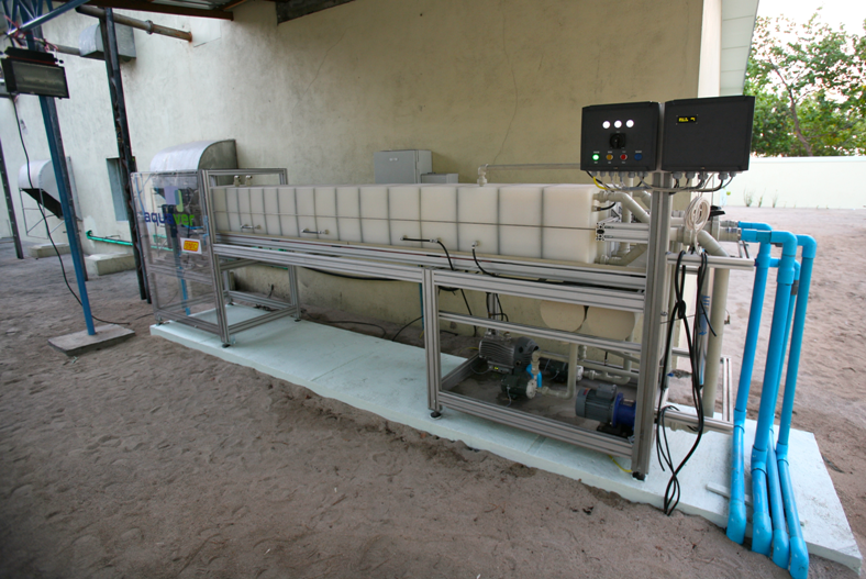 Desalination plant in Guhli using memsys membrane distillation technology