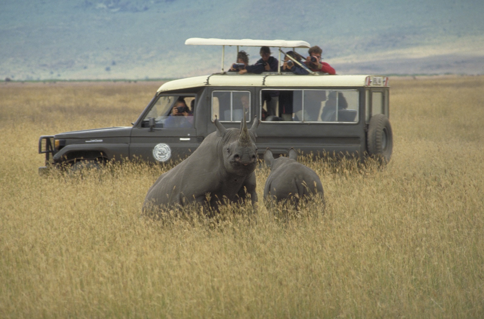 Visit Arusha offers customized Tanzania safari trips allowing the vacationer to plan their own completely personalized African safari.