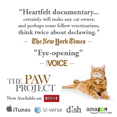 The Paw Project is now available on Netlfix