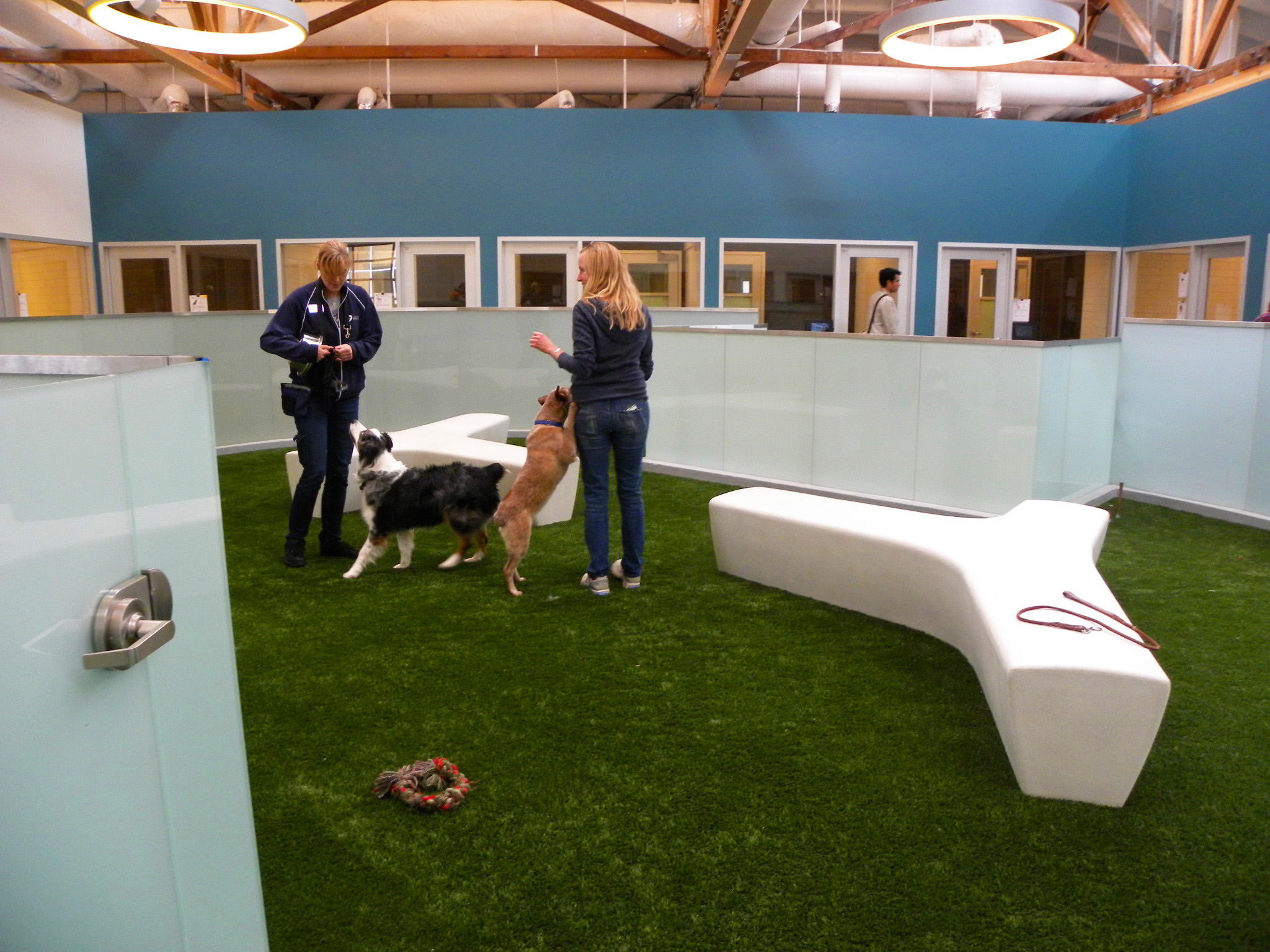 Indoor dog park