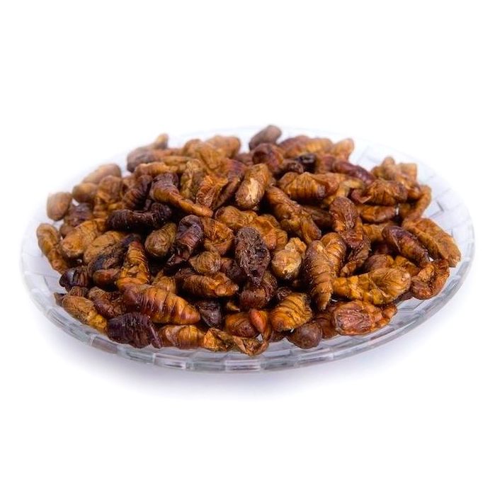 Edible Silkworm Pupae / edibleunique.com
