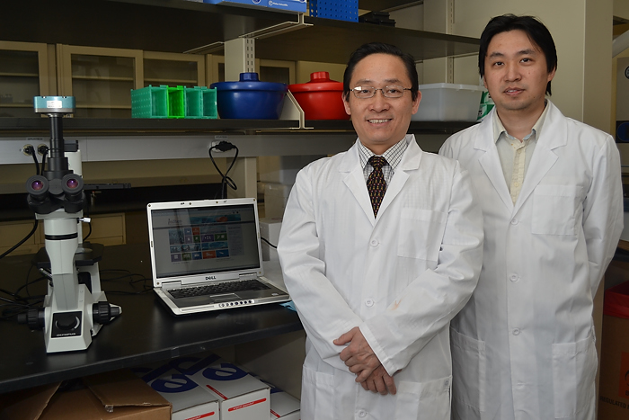 Dr. Ren-He Xu (left) and Dr. Xiaofang Wang (Right) works in lab of ImStem.