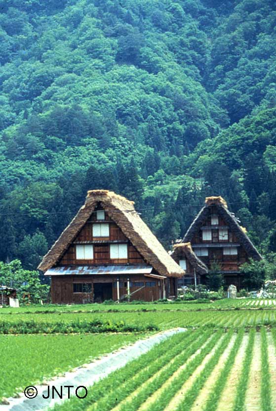 Traditional Japanese farmhouses in Shirakawago