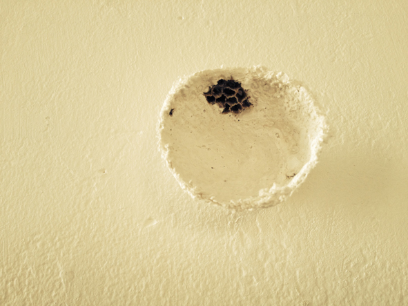 Les visions d’Amélie Gomet