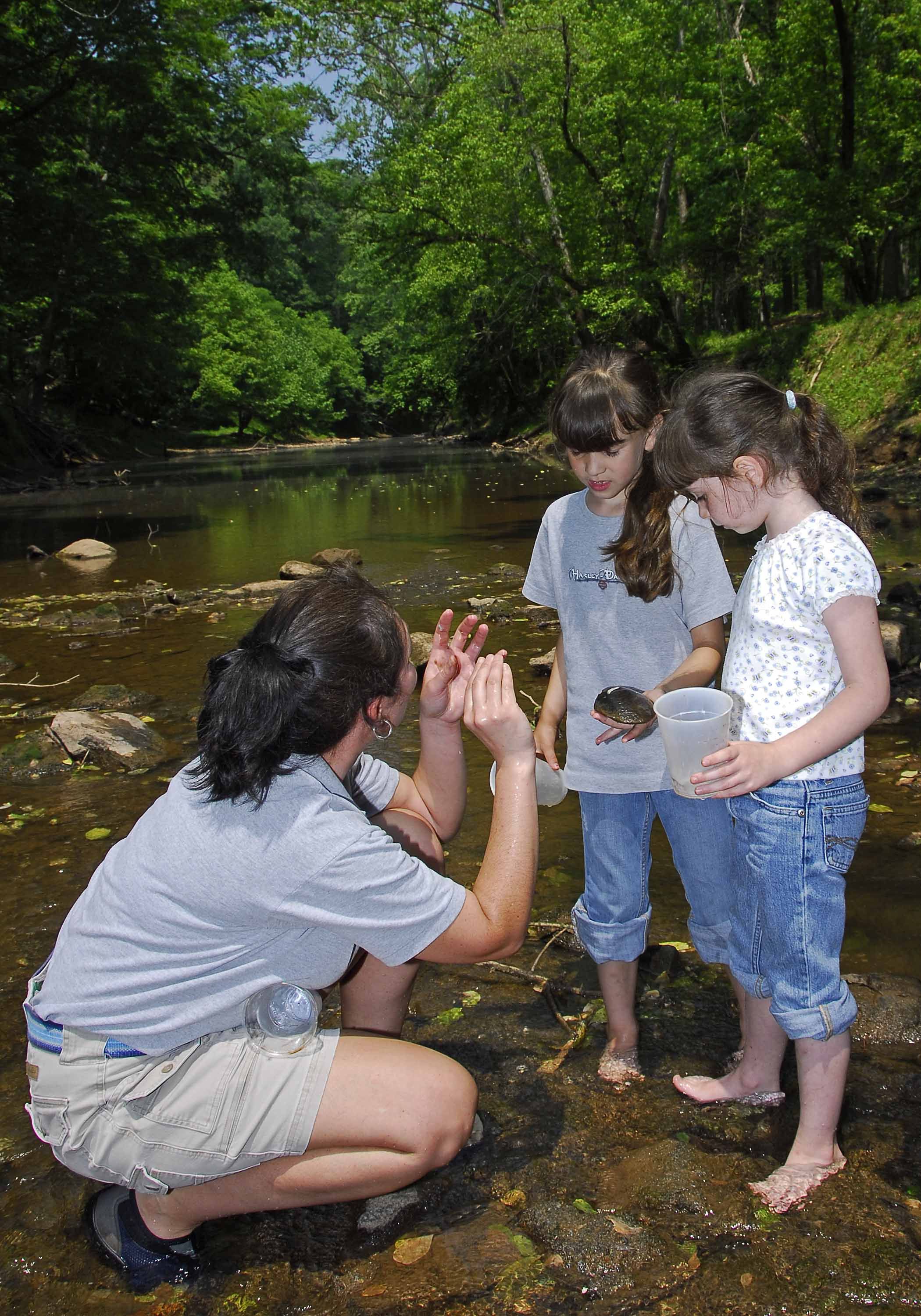 West Virginia State Park naturalists provide guided hikes and programming through the summer.