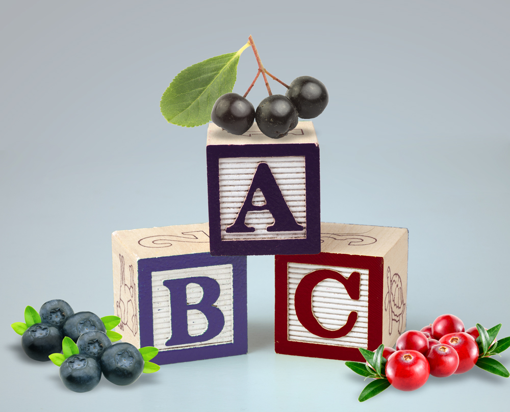 Aronia berries join the ranks of the healthiest berry ingredients, along with blueberries and cranberries.