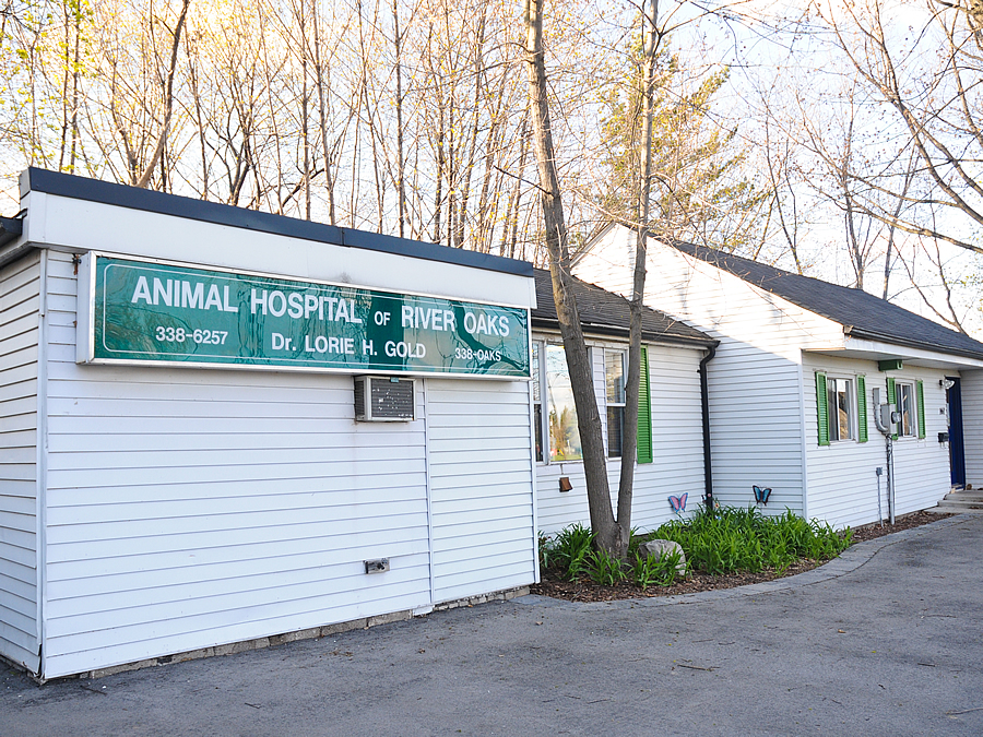 Animal Hospital of River Oaks