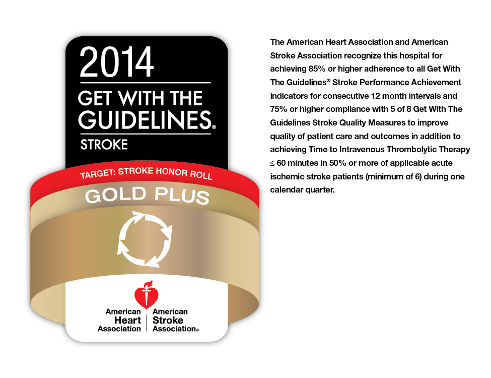 The American Heart Association/American Stroke Association's 2014 Get Wtih the Guidelines Target Stroke: Honor Roll