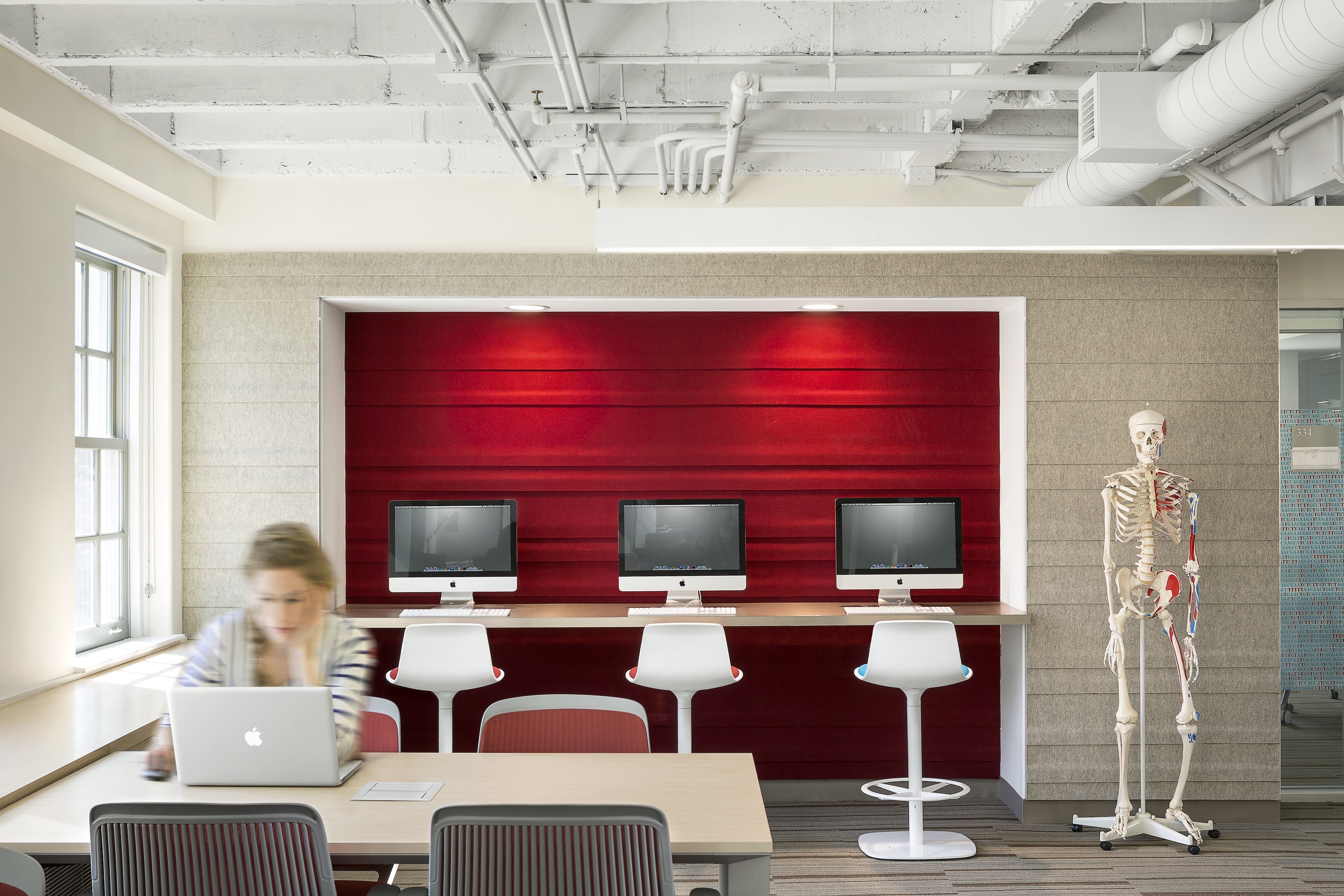 Designed by ADD Inc, the Interim Space for Dartmouth College's Dana Biomedical Library was Inspired by Pop-Up Anatomy Books