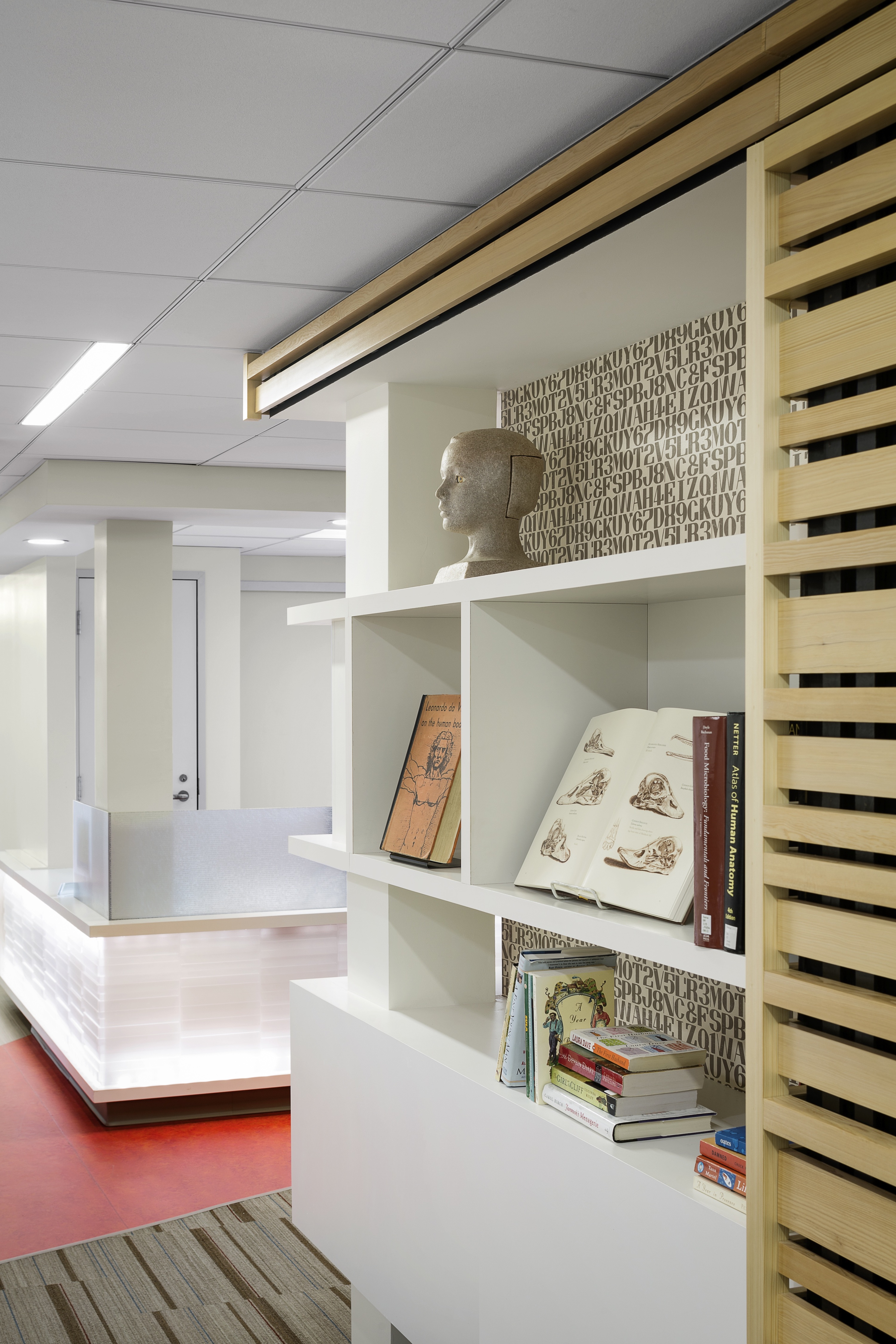 The display at the entrance showcases the library's carefully curated medical manuscripts as works of art.