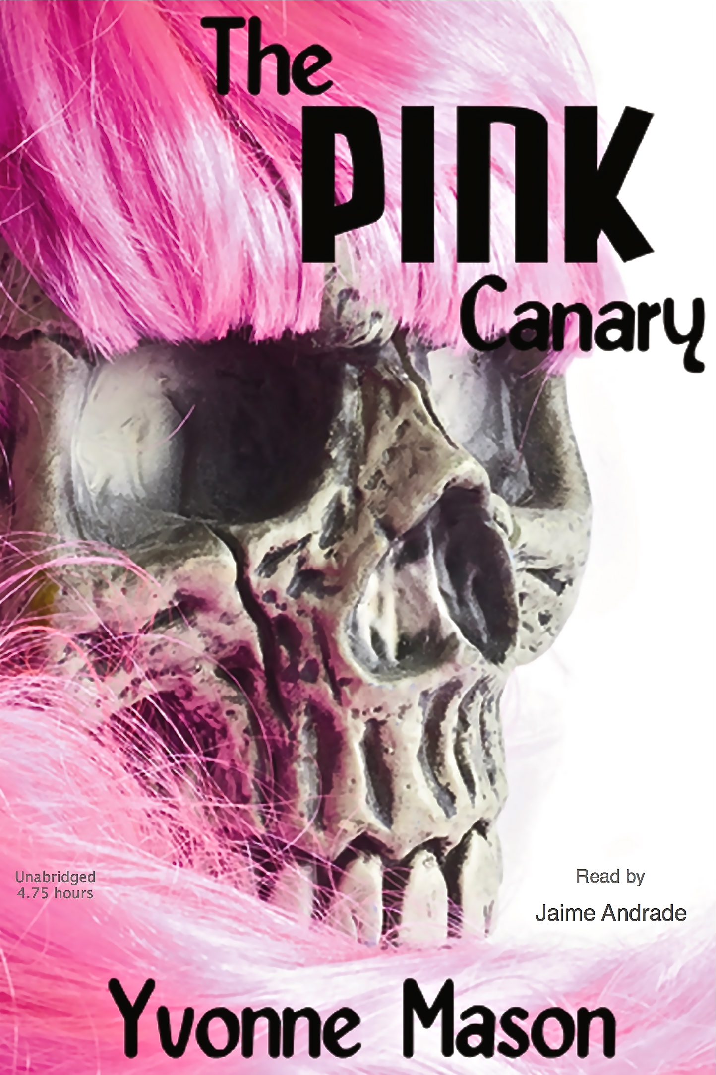The Pink Canary by Yvonne Mason