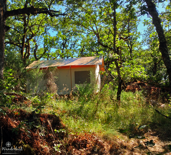 Eagle Camp at Wanderlust Camp Vagabond Lodge