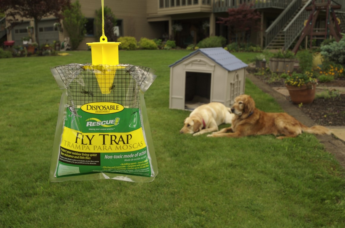 RESCUE!® Disposable Fly Trap