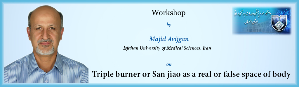 Traditional Medicine-2014: workshop