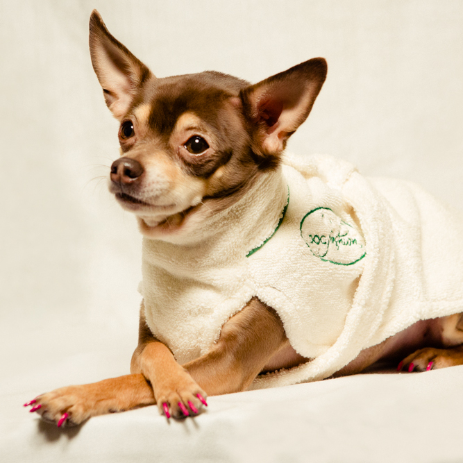 Yap Dog Fashion Bathrobe For Dogs