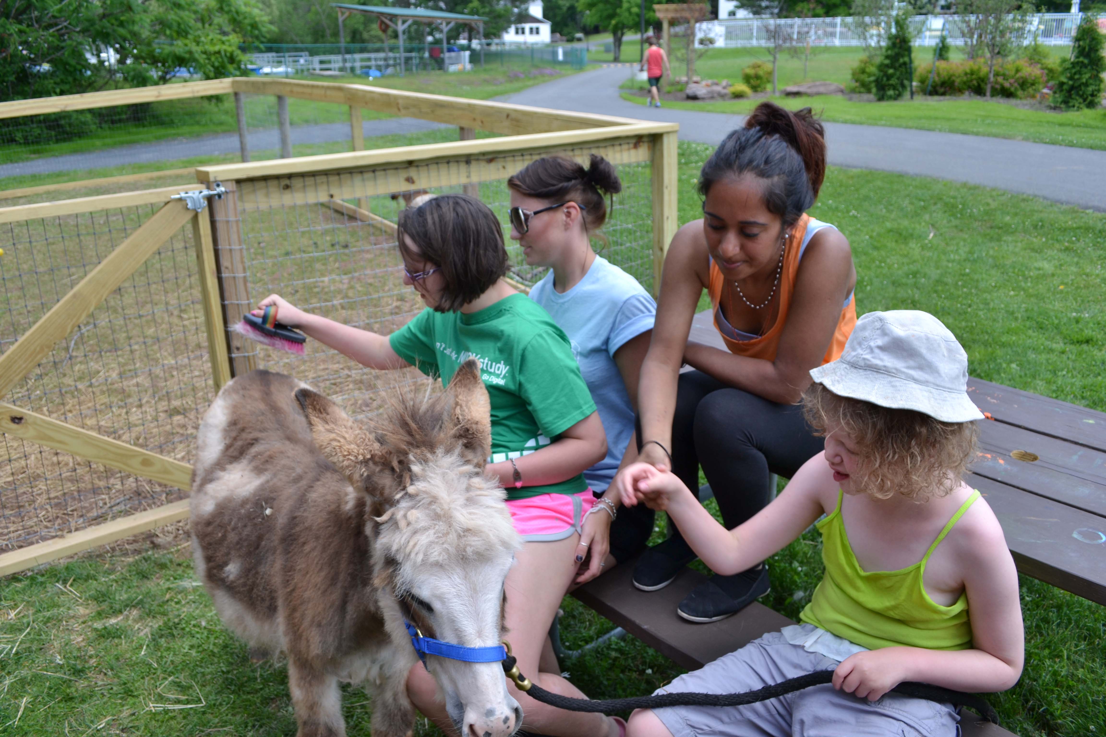 Campers enjoy brushing the donkey and feeding the new baby goat at Camp Loyaltown's  Alfred Z. Solomon Nature Center.