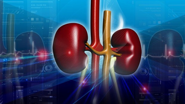 kidney disease solution review