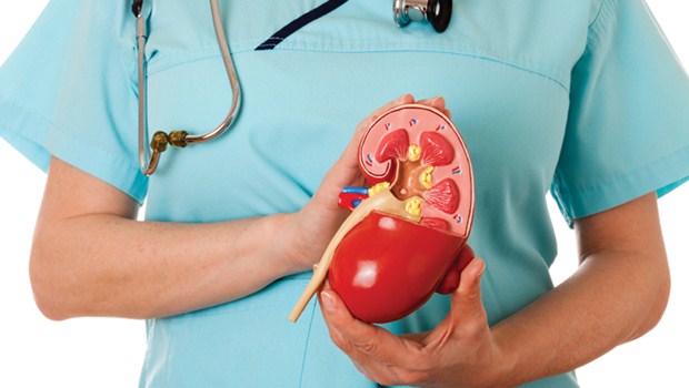 kidney disease solution review
