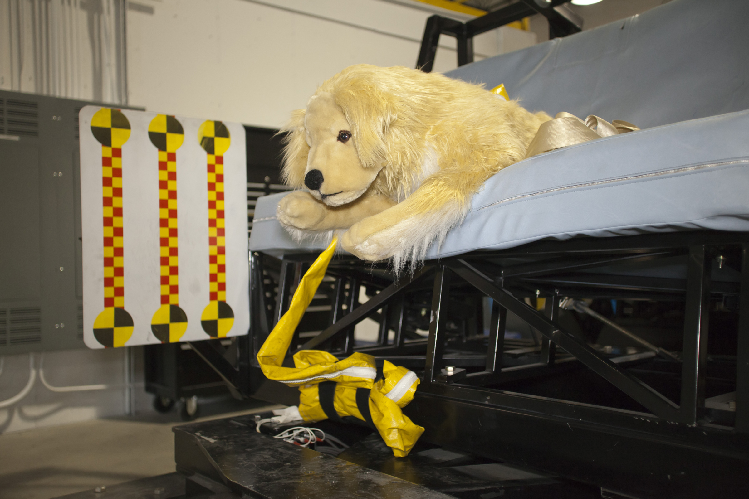 Center for Pet Safety Crash Test Dog