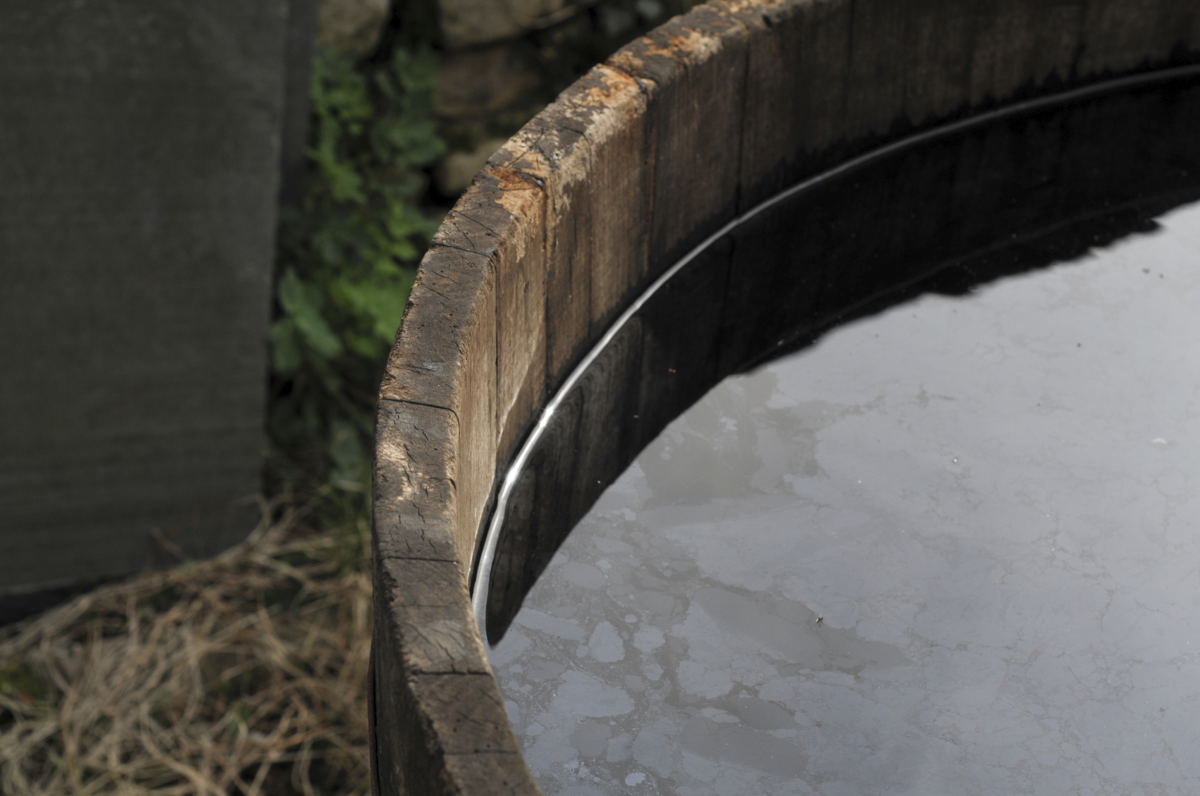 Rain-filled planter makes prime mosquito breeding ground.