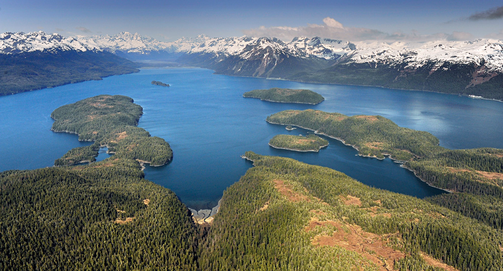 Alaska’s Prince William Sound Offers Affordable and Sustainable Wild Salmon