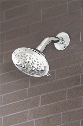 Florin 5 Functon Shower Head D460035 From Danze