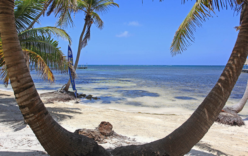 Beach area. Brights Waters resort for sale on Ambergris Caye, Belize