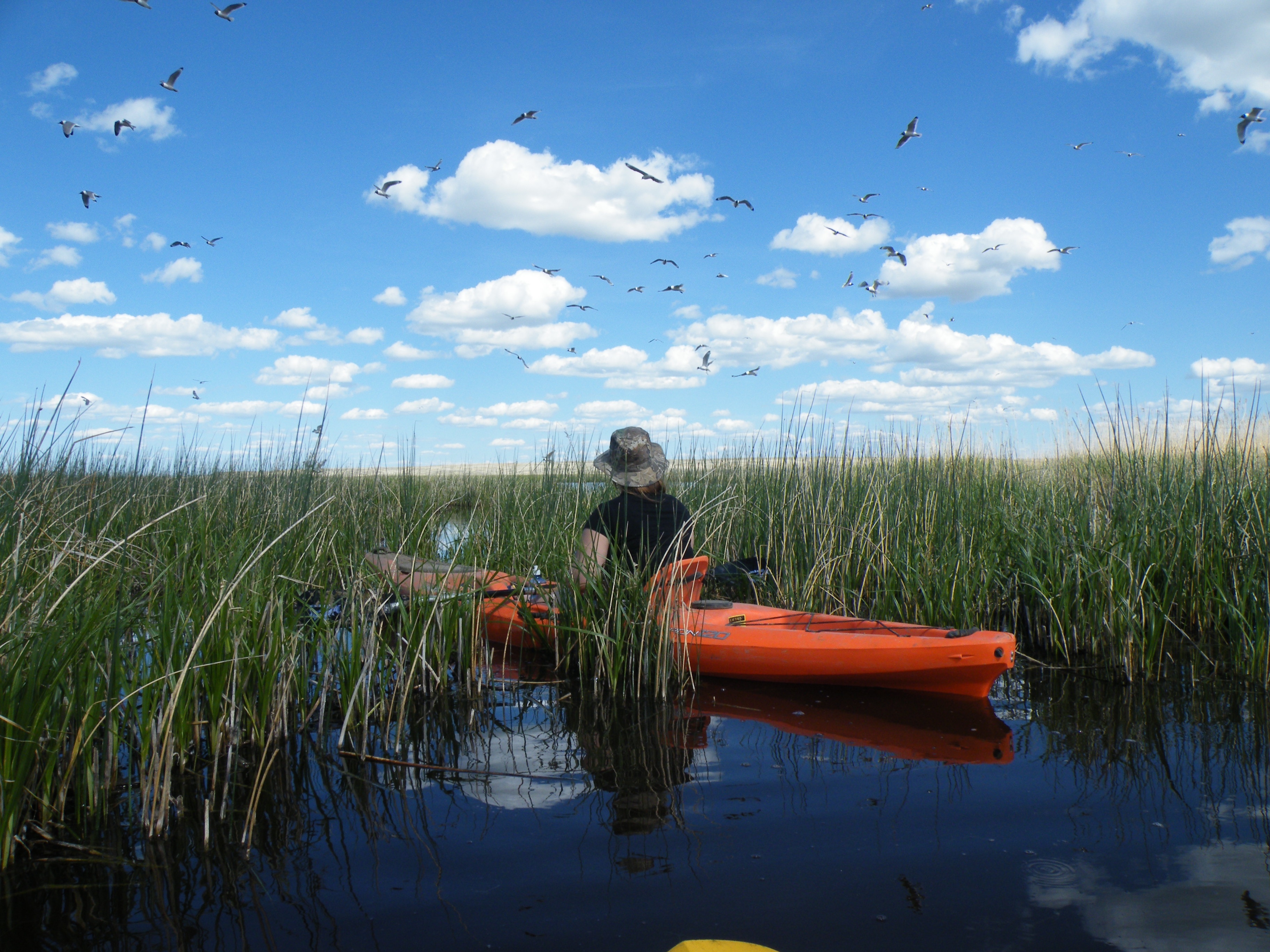 Kayaking on Manning Lake