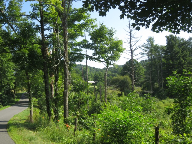 An example of pristine woodlands near Sherburne Falls, MA, that could be impacted by TGP gas pipeline.