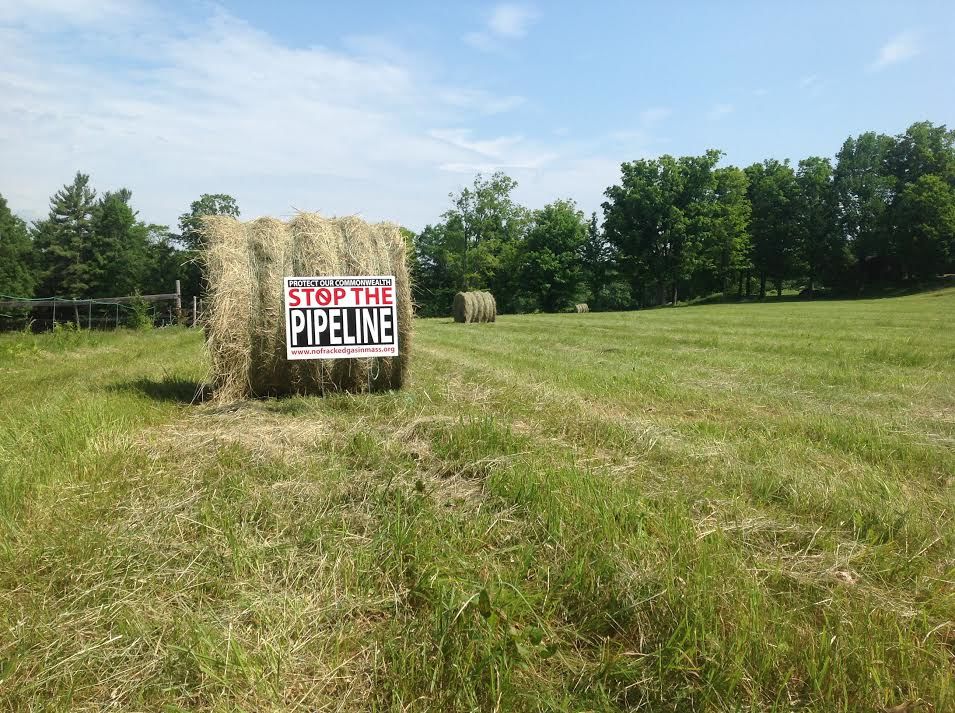 Sign protesting Kinder Morgan Tennessee Gas Pipeline on the farm of Pat Worth in Royalston, MA, which would be transformed by the pipeline.