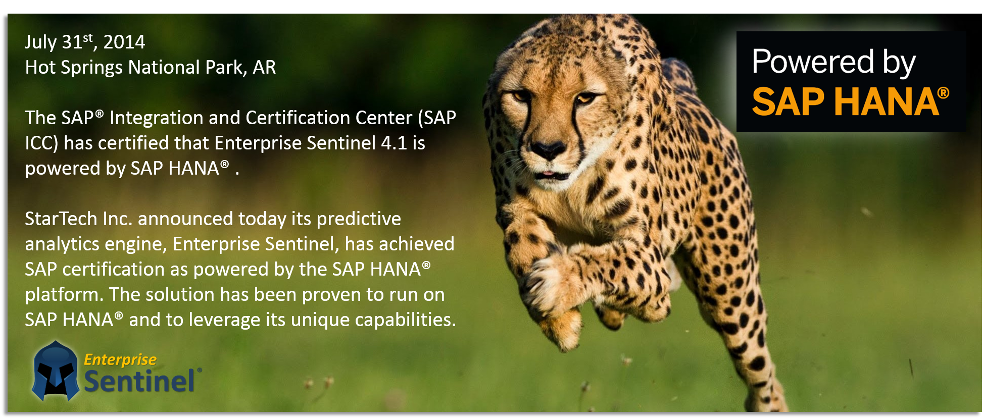 Enterprise Sentinel - Powered by SAP HANA