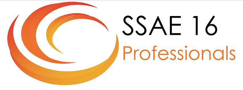 SSAE 16 Professionals