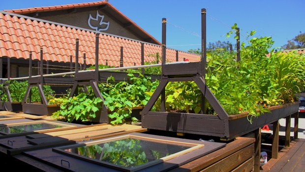 aquaponics 4 you pdf