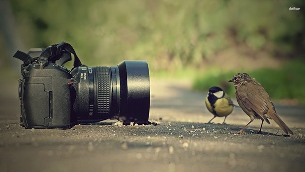 photography masterclass book