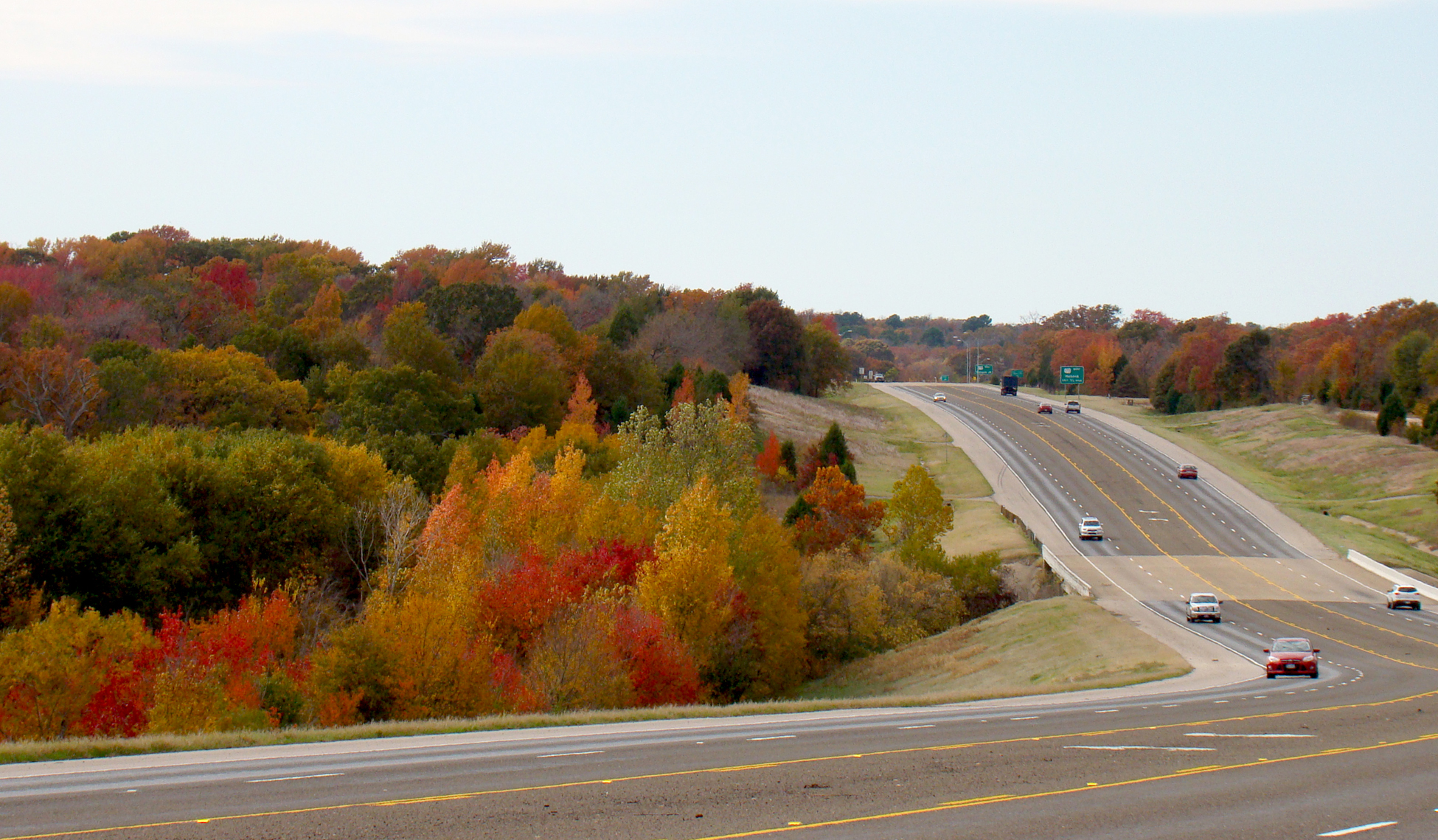 Fall color at its peak in Athens, Texas.