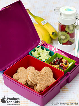 Butterfly Bento Box